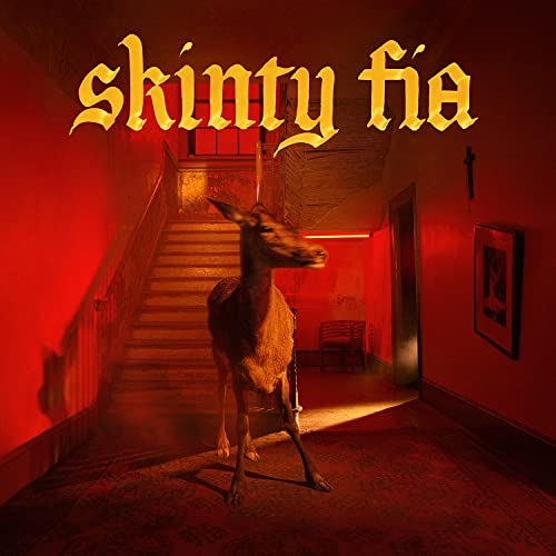 Fontaines D.C. - SKINTY FIA - Japan LP Record