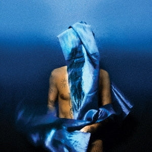 Devendra Banhart - FLYING WIG - Japan  CD
