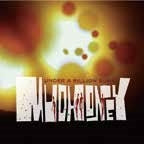 Mudhoney - UNDER A BILLION SUNS - Import Vinyl LP Record Limited Edition