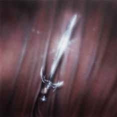 Courting - New Last Name - Import CD