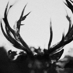 Ihsahn - IHSAHN - Import CD