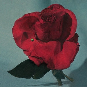 Metz - UP ON GRAVITY HILL - Import CD