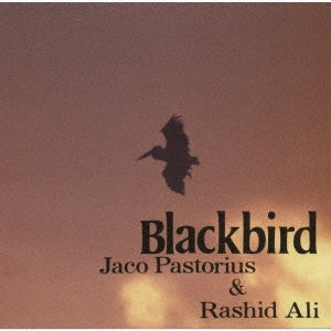 Jaco Pastorius 、 Rashied Ali - Blackbird - Japan CD Limited Edition