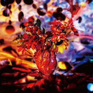 Shojokagekidan Himitsunomiyako - Fushichou No Corazon-Doku Doku Myakuutsu Menhera Pop No Shinzou- - Japan CD