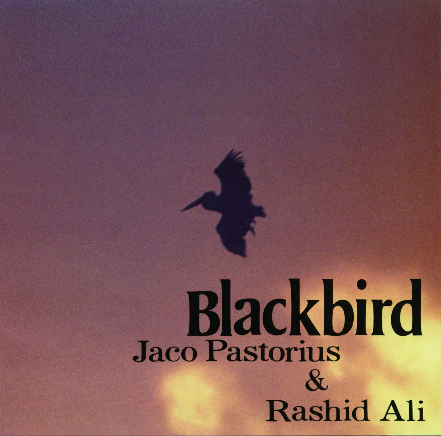 JACO PASTORIUS - RASHIED ALI - Blackbird - Japan CD