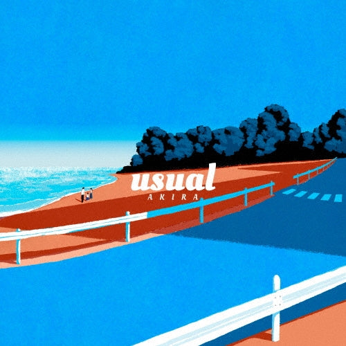 AKIRA - Usual - Japan CD