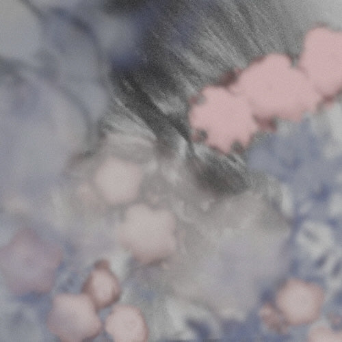 Yana Yanai - breeze - Japan CD