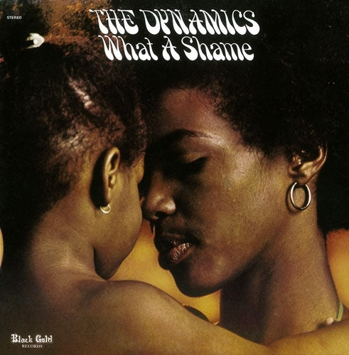 The Dynamics - What A Shame +11 - Japan CD Bonus Track