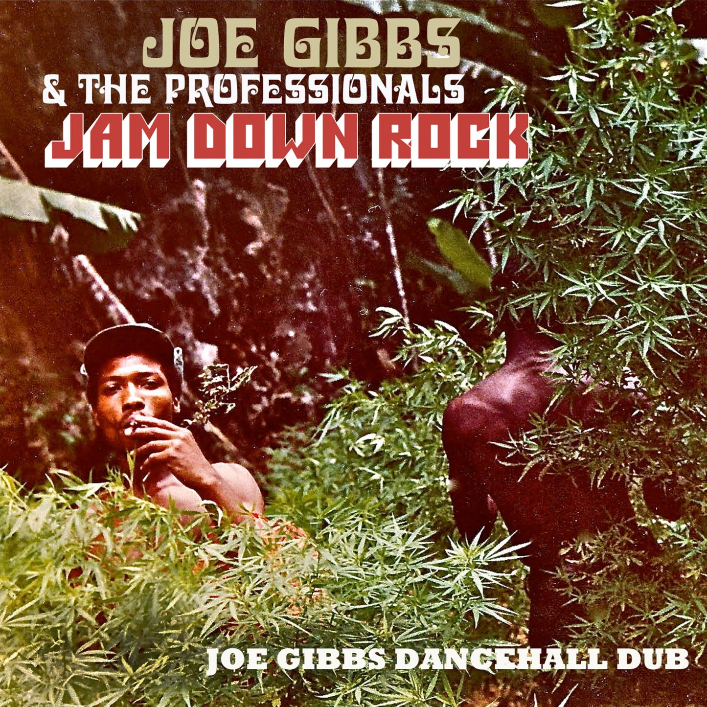 Joe Gibbs & The Professionals - Jam Down Rock - Joe Gibbs Dancehall Dub - Japan CD