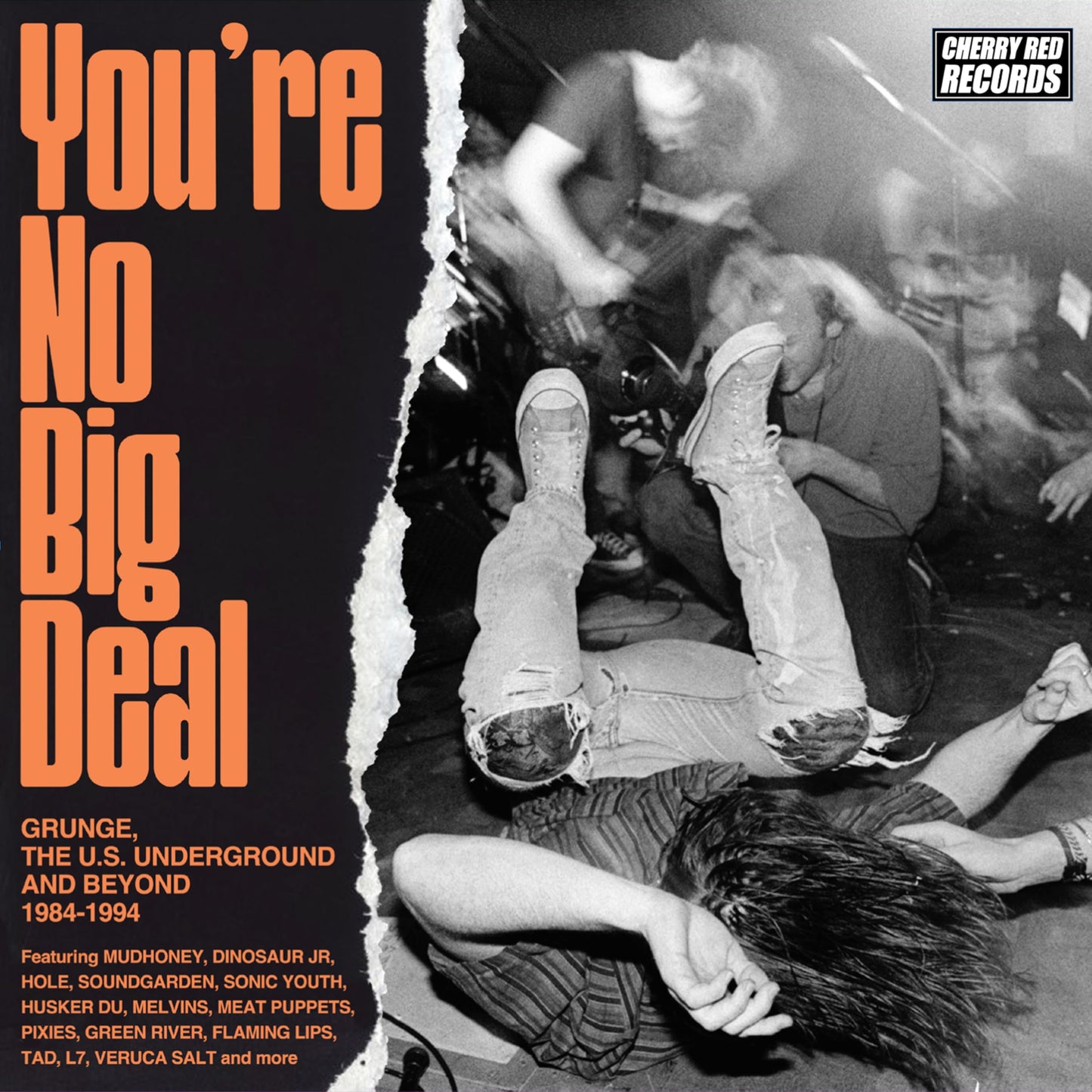 Various Artists - Your No Big Deal Grunge The US Underground and Beyond 1984-1994 - Japan 4 CD