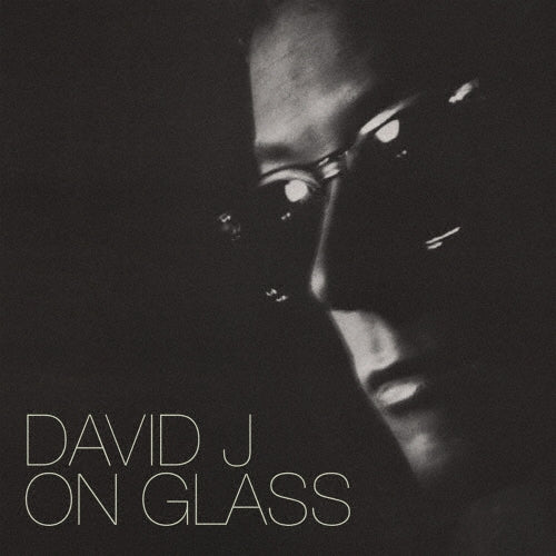 David J - on glass - Import CD