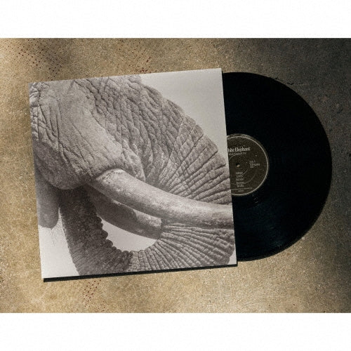 White Elephant - World Elephant Day - Import Vinyl LP Record