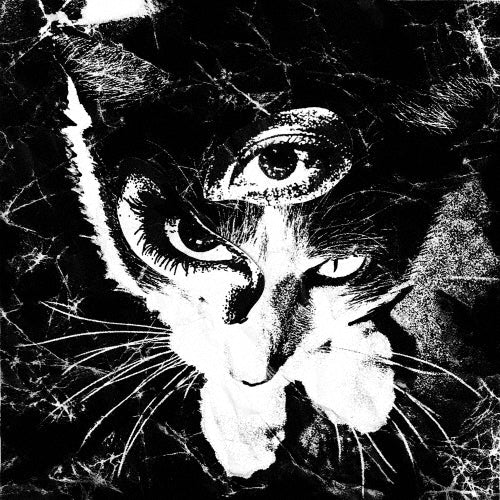 Tokyo Shoegazer - Remains - Japan CD
