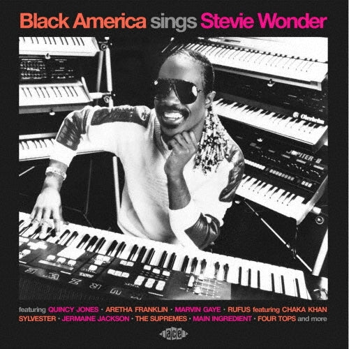 Various Artists - Black America Thinks of Stevie Wonder - Import CD
