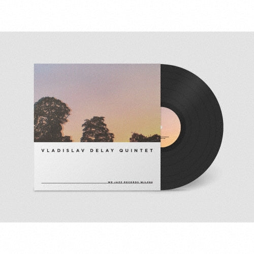 Vladislav Delay Quintet - vd5 - Import Vinyl LP Recurd