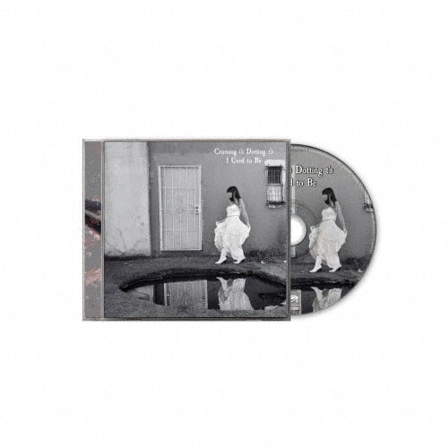 Crossing I's Dotting T's - I Used to Be - Import CD