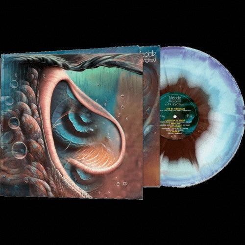 Various Artists - Meddle Reimagined ? A Tribute To Pink Floyd - Import Haze Vinyl LP Record