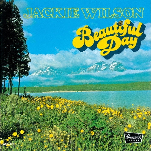 Jackie Wilson - Beautiful Day - Japan CD Bonus Track