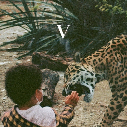 Unknown Mortal Orchestra - V - Import CD Limited Edition