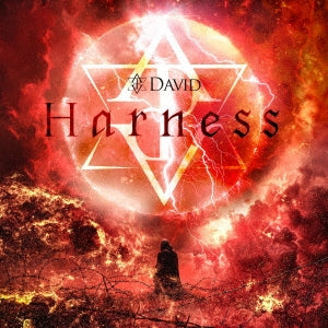 David - Harness Type-A - Japan CD single