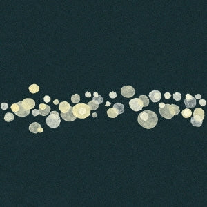 Tak - Murmurations - Japan  CD