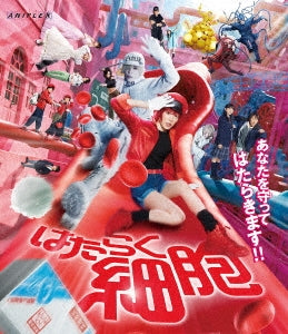 Hataraku Saibou - Cells At Work - Japan Blu-ray Disc
