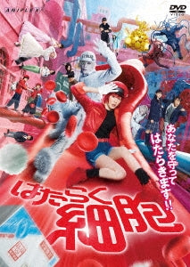 Hataraku Saibou - Cells At Work - Japan DVD