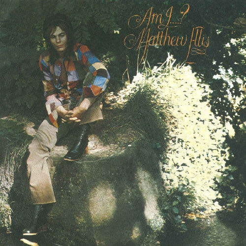 Matthew Ellis - Am I....? - Import Mini LP CD Limited Edition
