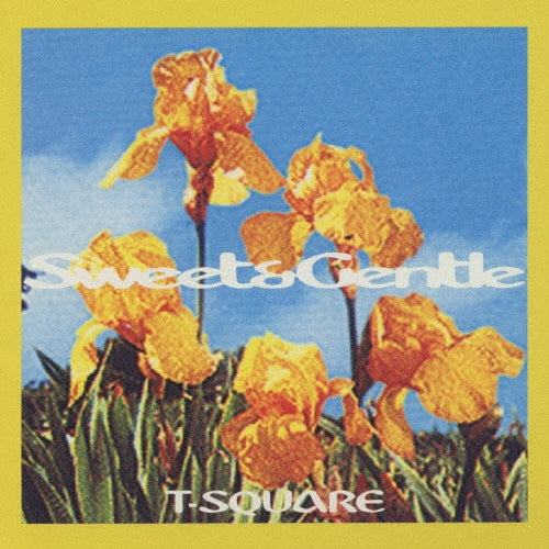 T-SQUARE - Sweet & Gentle - Japan CD