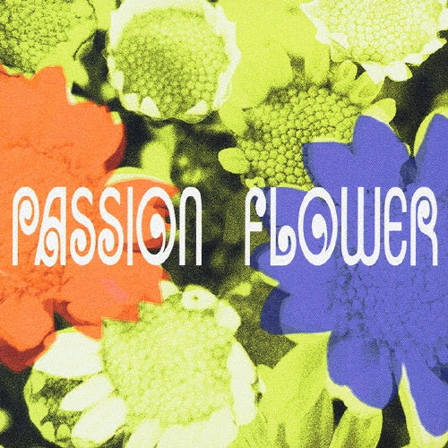 Casiopea - Passion Flower - Japan SACD Hybrid