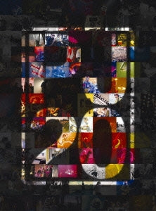 Pearl Jam - Pearl Jam 20 - Japan DVD