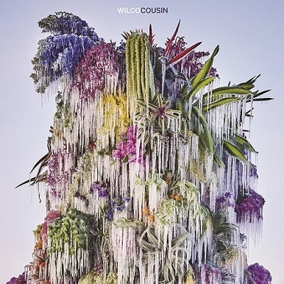 Wilco - Cousin - Japan Blu-spec CD2