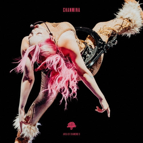 Chanmina - AREA OF DIAMOND 3 - Japan DVD + special photo book + tote bag Box Set Limited Edition