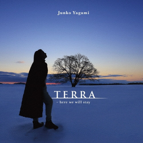 Junko Yagami - Terra -Here We Will Stay - Japan Vinyl LP Record Limited Edition