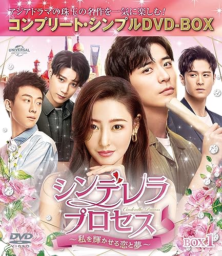 Tv Series - Young and Beautiful Box 1 Complete DVD Box - Japan 4 DVD Box