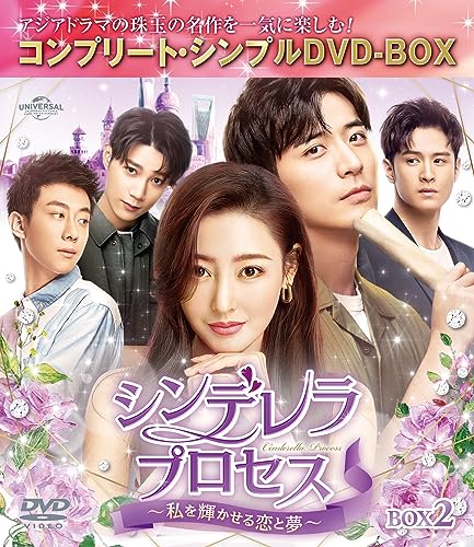 Tv Series - Young and Beautiful Box 2 Complete DVD Box - Japan 4 DVD Box