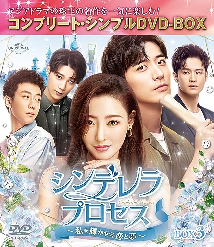 Tv Series - Young and Beautiful Box 3 Complete DVD Box - Japan 4 DVD Box