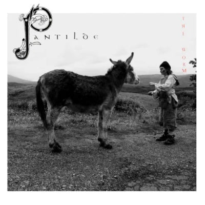 Worm (Uk) - Pantilde - Japan LP Record