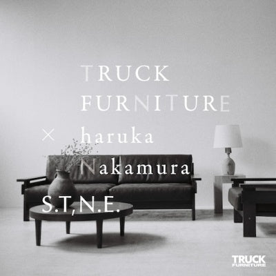 Haruka Nakamura - S.T,N.E. - Truck Furniture × Haruka Nakamura - Japan Vinyl 12 inch Record