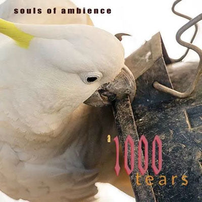 Souls Of Ambience - A 1000 Tears - Japan CD