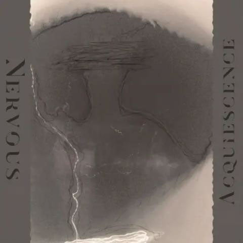 Nervous - ACQUIESCENCE - Import CD