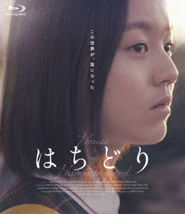 Movie - House Of Hummingbird - Japan Blu-ray Disc