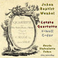 Haydn Sinfonietta Tokyo - Vanhal: Late String Quartets, Vol. 3 - Japan CD