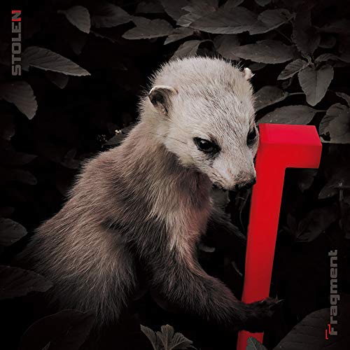 Stolen - Fragment - Japan CD Bonus Track