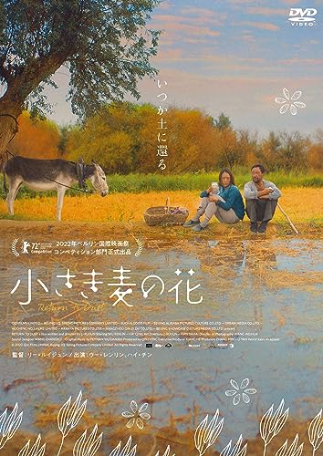 Movie - Return To Dust - Japan  DVD