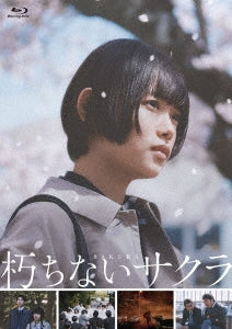 Japanese Movie - Kuchinai Sakura (English Subtitles) - Japan Blu-ray Disc