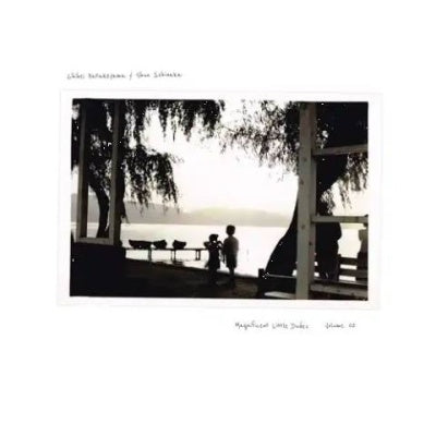 Chihei Hatakeyama / Shun Ishiwaka - Magnificent Little Dudes Vol.2 - Japan CD