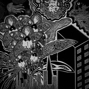 Umeilo - Cymbidium (Plant) - Japan CD