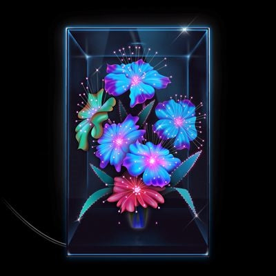 Xenia Rubinos - Una Rosa - Import CD