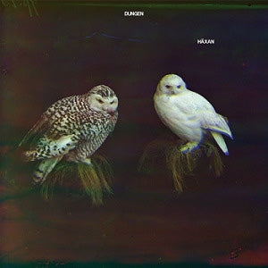 Dungen - Haxan - Japan CD